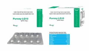 Puroxy LQ 10